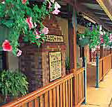 Curtain Fig Motel - Surfers Paradise Gold Coast