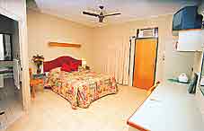 Curtain Fig Motel - Surfers Paradise Gold Coast 2
