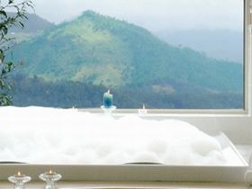 Artisan Spa Views Bed And Breakfast Cottage - Surfers Paradise Gold Coast 0