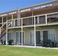 Coral Tree Lodge Tourist Park - Surfers Paradise Gold Coast
