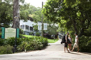 Halse Lodge Backpackers Hostel YHA - Surfers Paradise Gold Coast 0