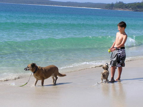 A Paradise Bungalow Waterfront - Surfers Paradise Gold Coast 1