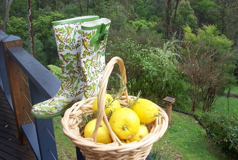 Bellbird Cottage Bed And Breakfast - Surfers Paradise Gold Coast 4