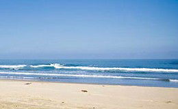 Berry Orchard - Surfers Paradise Gold Coast 2
