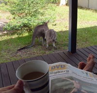 Bush and Bay Cottage - Surfers Paradise Gold Coast
