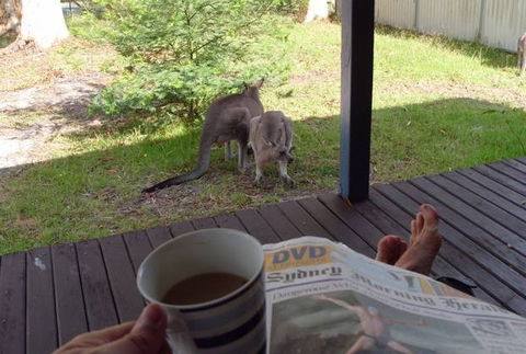 Bush And Bay Cottage - Surfers Paradise Gold Coast 0