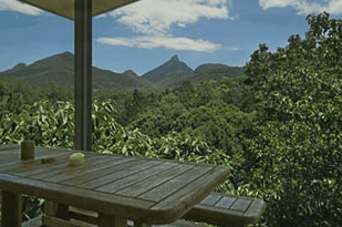 Mavis's Kitchen And Cabins - Surfers Paradise Gold Coast 1