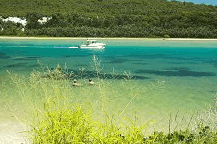 Wooli Camping And Caravan Park - Surfers Paradise Gold Coast 0