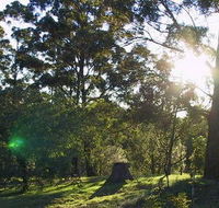 Calurla Chalets and Cottages - Surfers Paradise Gold Coast