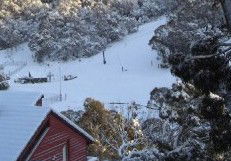 Karas Apartments - Surfers Paradise Gold Coast 0