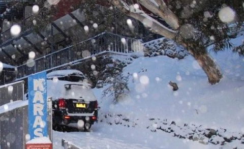 Karas Apartments - Surfers Paradise Gold Coast 1