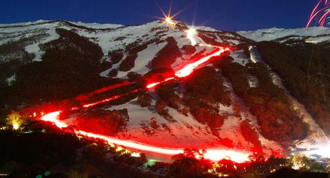 Karas Apartments - Surfers Paradise Gold Coast 2