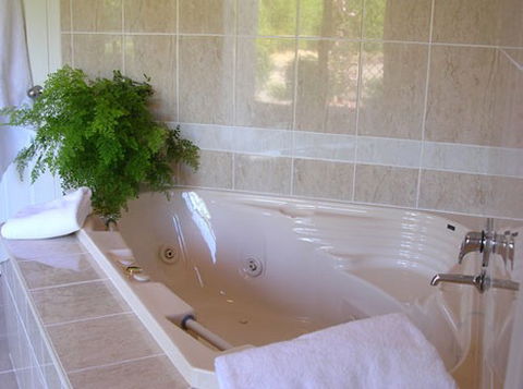 Mescals At Pampoolah Bed And Breakfast - Surfers Paradise Gold Coast 1