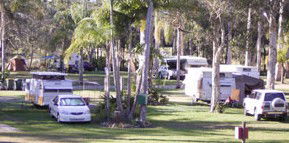 Brigadoon Holiday Park - Surfers Paradise Gold Coast 2