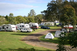 Dawson River Tourist Park - Surfers Paradise Gold Coast 1