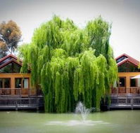 Perricoota Vines Retreat - Surfers Paradise Gold Coast