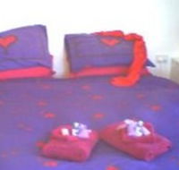 Aloomba Lavender - Accommodation - Surfers Paradise Gold Coast