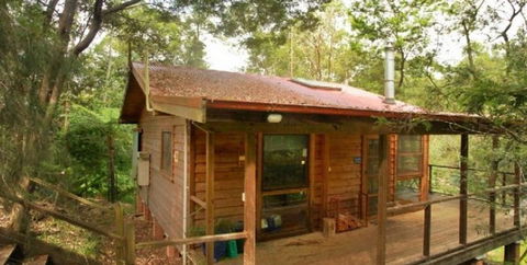 Bluegums Cabins - Surfers Paradise Gold Coast 1
