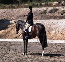 Apptrak Stud - Surfers Paradise Gold Coast