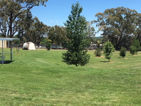 Canobolas Caravan Park - Surfers Paradise Gold Coast 3
