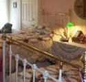 A Winter-Rose Cottage Bed and Breakfast