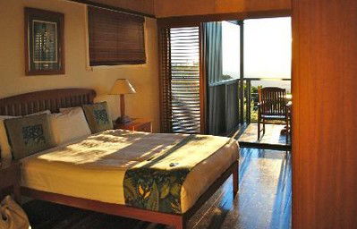 OReillys Rainforest Retreat - Surfers Paradise Gold Coast 2