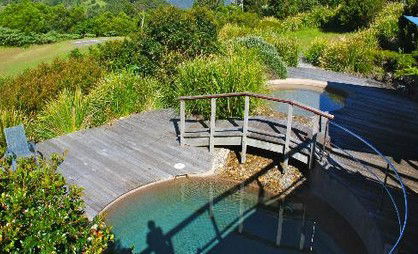 OReillys Rainforest Retreat - Surfers Paradise Gold Coast 4