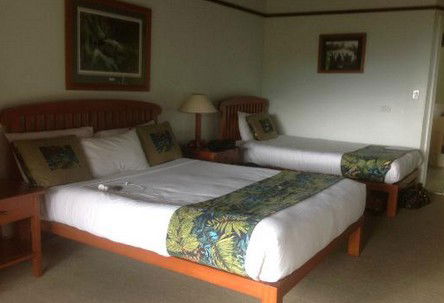 OReillys Rainforest Retreat - Surfers Paradise Gold Coast 5