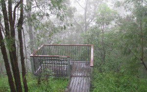 Eagles Rest Retreat - Surfers Paradise Gold Coast 4