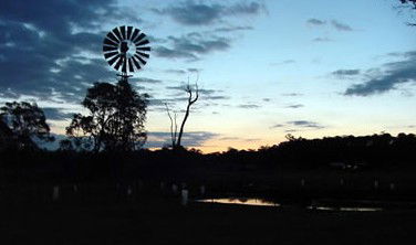 Crows Nest Caravan Park - Surfers Paradise Gold Coast 5
