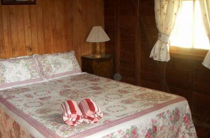 Bunyip Springs Farmstay - Surfers Paradise Gold Coast 2