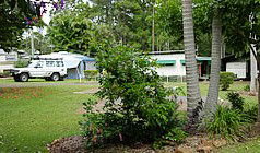 Lilyponds Holiday Park - Surfers Paradise Gold Coast 5