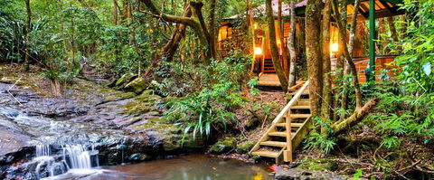 The Mouses House - Rainforest Retreat - Surfers Paradise Gold Coast 0