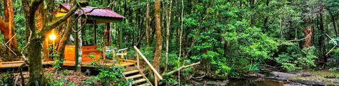 The Mouses House - Rainforest Retreat - Surfers Paradise Gold Coast 3