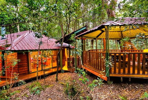 The Mouses House - Rainforest Retreat - Surfers Paradise Gold Coast 4