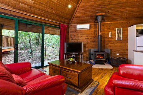 The Mouses House - Rainforest Retreat - Surfers Paradise Gold Coast 5
