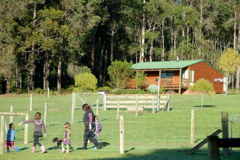 Diamond Forest Farm Stay - Surfers Paradise Gold Coast 0