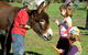 Diamond Forest Farm Stay - thumb 3