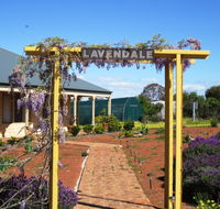 Lavendale Farmstay and Cottages - Surfers Paradise Gold Coast