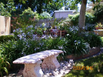 Austin Rise Bed And Breakfast - Surfers Paradise Gold Coast 4