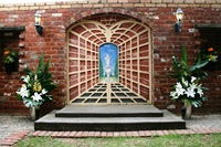 Carter Cottages - Surfers Paradise Gold Coast 10