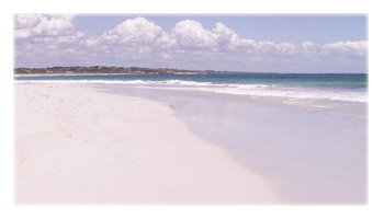 Sun City Holidays - Surfers Paradise Gold Coast 0