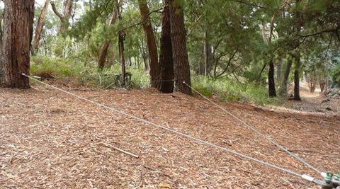 UC Camping Norval - Surfers Paradise Gold Coast 2
