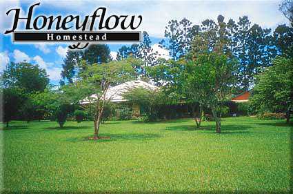Honeyflow Homestead - Surfers Paradise Gold Coast 0
