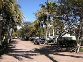 Alva Beach Tourist Park - Surfers Paradise Gold Coast 0