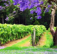 Bago Vineyards - Surfers Paradise Gold Coast