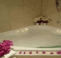 Swan Valley Oasis Resort - Surfers Paradise Gold Coast