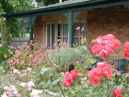 Balnarring Village Motor Inn - Surfers Paradise Gold Coast 5