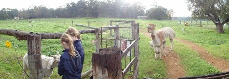 Boronia Farm Farmstay - Surfers Paradise Gold Coast 0