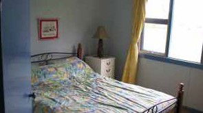 Boronia Farm Farmstay - Surfers Paradise Gold Coast 2